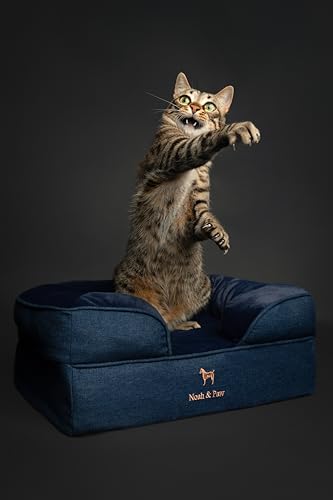 Image of NOAH & PAW Small Dog Bed, 20x15x8 Inch, Cat Bed for Indoor Cats, Orthopedic Eggshell Memory Foam Infused with Cooling Gel, Water Resistant Inner Cover Machine Washable (Denim Collection)