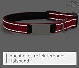 Ibera gifts - Hundehalsband Personalisiert, Hundehalsband Mit Namen Für Welpen Und Sehr Kleine Hunde oder Katzen, 22-30 cm, Reflektierend (Schwarz, XS Sehr Klein)