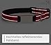 Ibera gifts - Hundehalsband Personalisiert, Hundehalsband Mit Namen Für Welpen Und Sehr Kleine Hunde oder Katzen, 22-30 cm, Reflektierend (Schwarz, XS Sehr Klein)