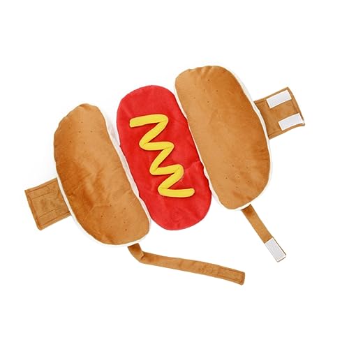 Healifty 1 ybg ϐg  hX  p ^  ybg RX`[ 