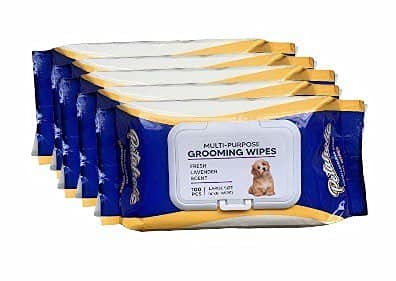 Petaholic Wet Pet Wipes for Dogs, Puppies & Pets with Fresh Lavender Scent 6"x 8" - Pack of 100 Wipes (Pack of 5) (B09GRLNFGS) Amazon Price History, Amazon Price Tracker