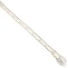 CBconcept 120VLRS-50FT-CW 120-volt 2-Wire 1/2-Inch LED Rope Light, 1.0-Inch LED Spacing Christmas Lighting, Indoor/Outdoor Rope Lighting, 50-Feet, Cool White