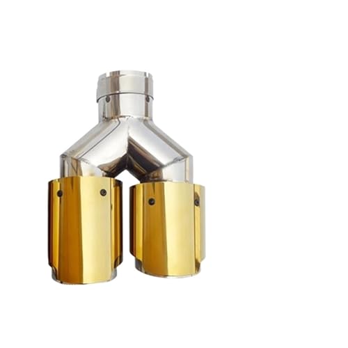 Embouts d'échappement double sortie en inox pour mise à niveau de silencieux de voiture R60-101