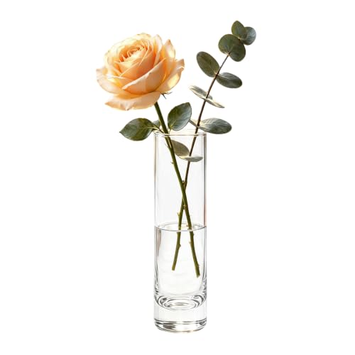 Tall Cylinder Glass Flower Vase Single Stem Bud Vase for Wedding Centerpieces Home Decor Table Living Room Decorations
