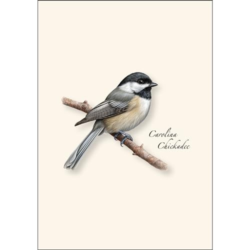 Image of Earth Sky + Water - Carolina Chickadee Notecard Set - 8 Blank Cards with Envelopes