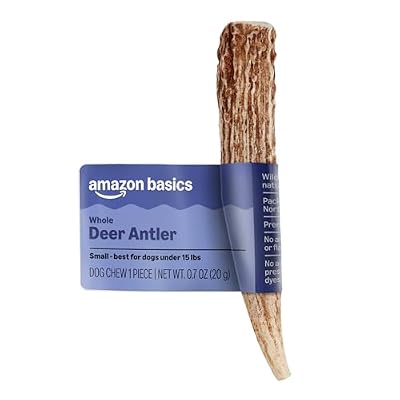 Amazon Basics Dog Deer Antler Chew, Naturally Shed. Whole, Small, Long Lasting for Aggressive Chewers, Best for Dogs Under 15 lbs, 4-5.5 inches (Previously Wag)