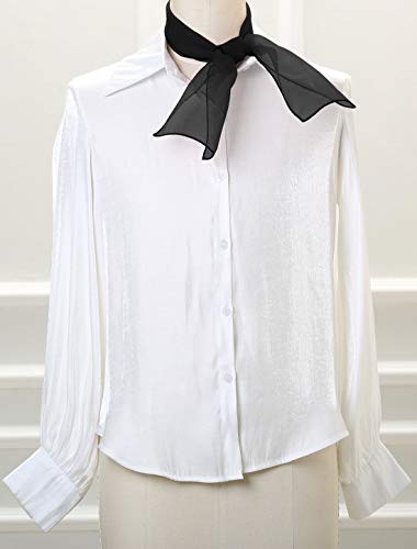 Allegra K Women Transparent Skinny Organza Scarf Solid Color Lightweight Neckerchief2