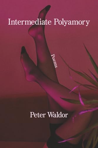 Intermediate Polyamory