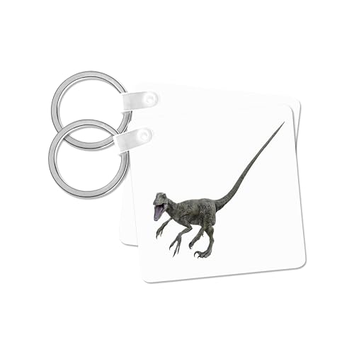 Llavero Deinonychus 3dRose ideal para organizar las llaves de casa y del coche con estilo