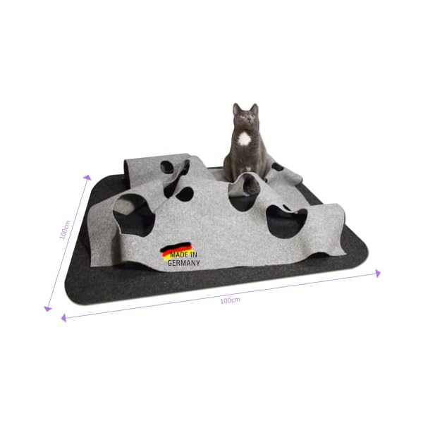 CatMountain® Katzenteppich Katzenspielzeug interaktives Katzenspielzeug Kitten Spielzeug für Deine Katze.