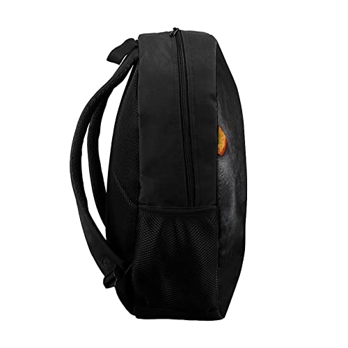 Sac à dos chat 17 pouces pour le collège et les sorties