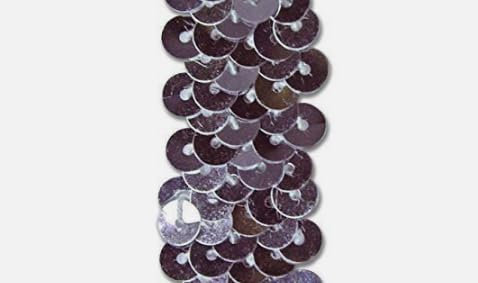 Generic 1 Pcs 7/8 Inch 2 Row Silver Stretch Sequin Trim for Decorative 12 Yards - Rk8