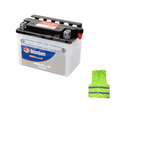 Marchio: CLICCA E VAI COMPATIBILE CON MALAGUTI F12 Phantom LC 50 per anno 1994 al 1998 BATTERIA YB4L-B TECNIUM BB4L-B BATTERIE 4 AMPERE 12 VOLT FORNITA PRONTA PER L’UTILIZZO SPECIFICA 120X92X70