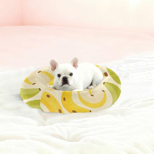 Lit pour chat et chaton amovible S jaune