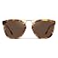 Honeycomb Tortoise / Brown Lens