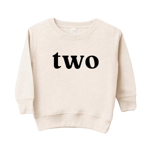 Toddler kids baby boy girl birthday outfit Two Second 2nd Birthday Boy girl Sweatshirt3