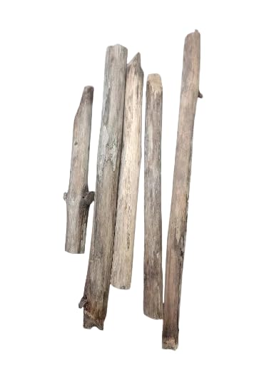 Teak Wooden 5 Driftwood Sticks 15-30 cm