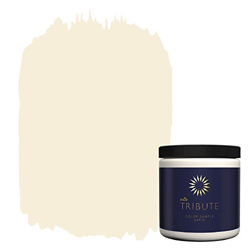 Top 10 Best Interior White Paint Colors Reviews & Buying Guide Katynel