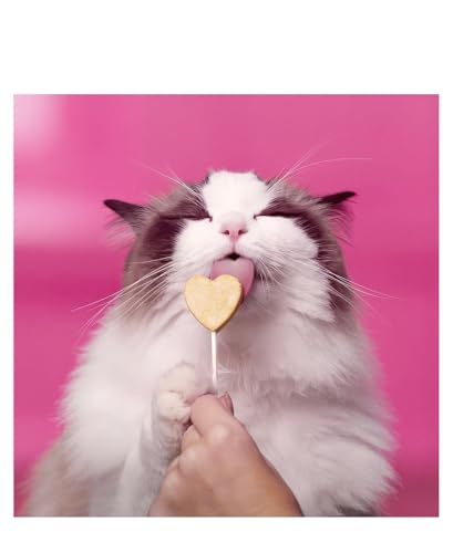 Bonkers Purr Pops Chicky Licks Freeze-Dried Cat Treats, 4-Count, 2 Packs with Cat Spring Toys - Thumbnail 4
