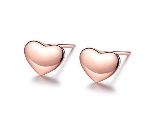 KEETEEN"Minimalism" Sterling Silver Tiny Dot Earrings Block Ear Studs Heart Stud Earrings Gifts for Girls (Lovly Heart)