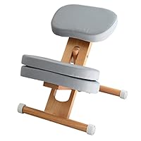 Amazon｜宮武製作所 プロポーションチェア 補助クッション