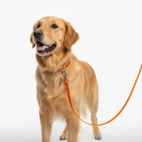 Image of Dog Leash with Padded Handle and Padded Collar Set | Adjustable Nylon Dog Collar & Heavy Duty Leash with Strong Metal Clip | Useful for Small Medium Large Dogs (Orange & Yellow)