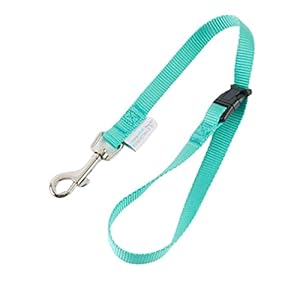 Quick Release Loop – Turquoise