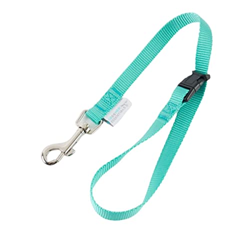 Quick-Release-Loop-Turquoise