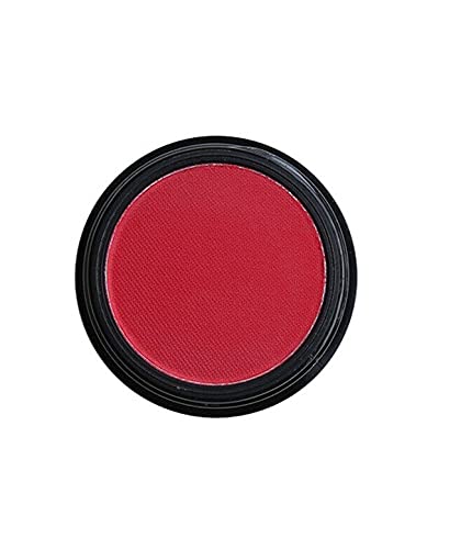 Phoera AQUAPURITY Waterproof Long Lasting Matte Eyeshadow Palette in 12 Pigment Color Face Powder Eye Shadow Cosmetic Cream Makeup Cosmetic (212 SALLY)