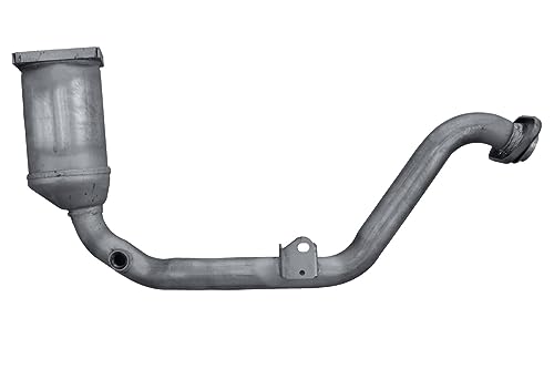 HELLA Catalizador 8LE 366 051-061 para C4 I (LC_)