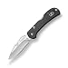 Buck Knives 726 Mini SpitFire Folding Lock Back Pocket Knife with Removable Stainless Steel Pocket Clip, 420HC Blade, Black