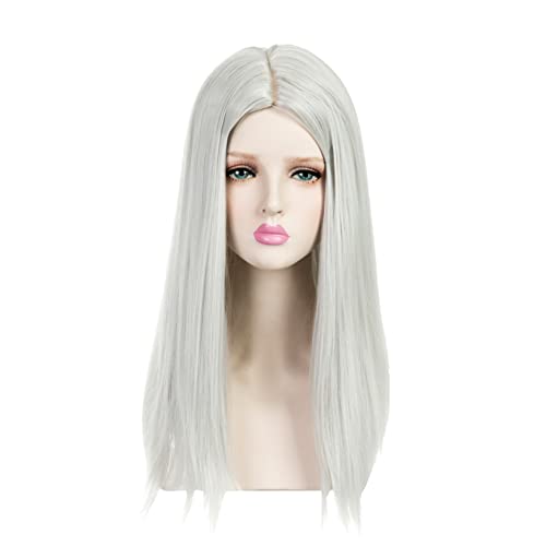 Onedor 20 Inches Natural Straight Long Synthetic Hair Women Full Head Cosplay Wig (Silver)