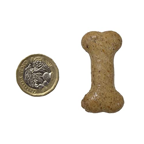 Extra Select Gravy Bones Chicken Flavoured Dog Treat Biscuits in a 3ltr