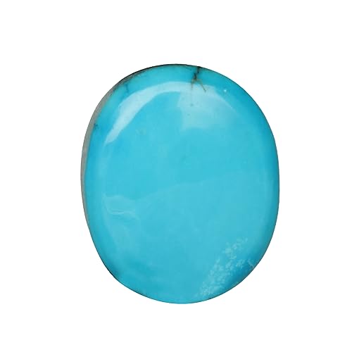 GEMHUB [X i` u[ ^[RCY 16.25Jbg ȉ~` J{V [X Xg[ WG[p ȃJ{V