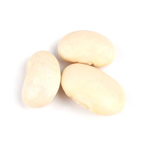 Corona Beans (White Runner Beans), 10 lb – Large Italian White Beans for Stews, Salads & Mediterranean Cooking – Creamy Meaty Texture Bulk Beans by Woodland Gourmet