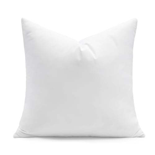 Image of puredown 20x20 Feather Down Pillow Insert, 1 Pack Throw Pillow Insert for Couch, Chairs, Office, Apartments