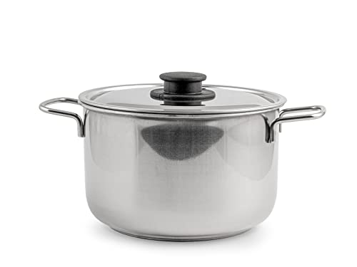 Royal Norfolk Pentola, Realizzata In Acciaio Inox, Misura 20Cm, È Compresa Di Coperchio, Lavabile In Lavastoviglie, Classico E Igienico 100%, Prodotto