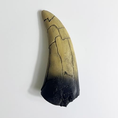 Image of 5.1 inches Tyrannosaurus Tooth Direct Cast Replica,Dinosaur Relic Bone Replica