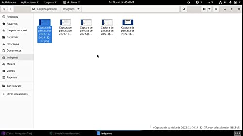 wishfulfil Tails 6 GNOME 64 Bit Live Bootable Installation DVD - Image 4