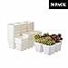 BangQiao 30 Pack 4.15 Inch White Plastic Square Nursery Seedlings Pot for Succulent, Cutting, Transplanting