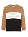 Produktbild JACK & JONES Herren Jjelliot Block Sweat Crew Neck Pls Pullover, Otter, 4XL