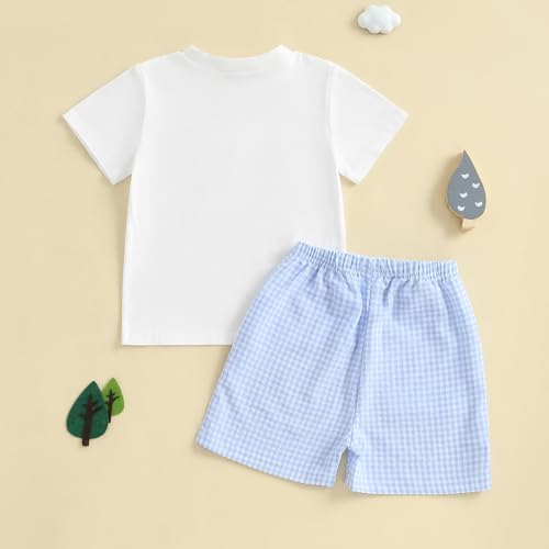 Big Brother Little Brother Matching Outfit Embroider Little/Big Brother Shirt Checkered Shorts 12 18 Month 2T 3T 4T4
