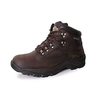 Northwest Territory Mens Inuvik Hiking Boot