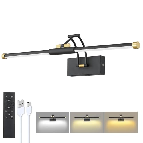 24" Picture Lights for Wall Battery Operated, Rechargeable Picture Light with Remote, Wireless Wall Light 3000K/4000K/6000K Dimmable Timer, Art Light for Paintings Frame Gallery Dartboard, Black Gold