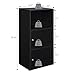 Convenience Concepts 151187 X-Tra Storage 2-Door Cabinet, Black