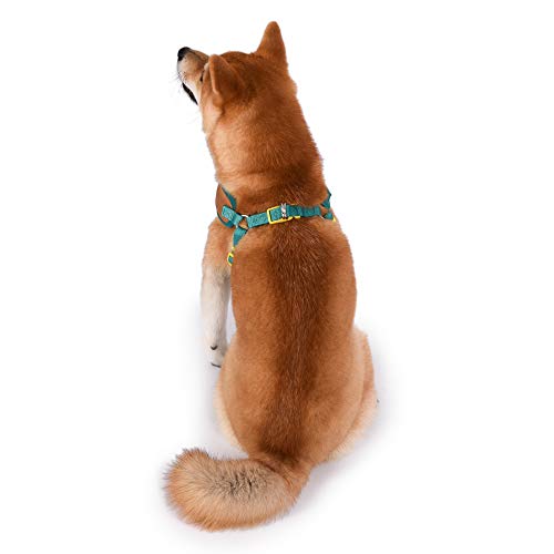 Scooby-Doo Arnês para cães Warner Brothers Peitoral para cães grande macio e confortável, sem puxão,