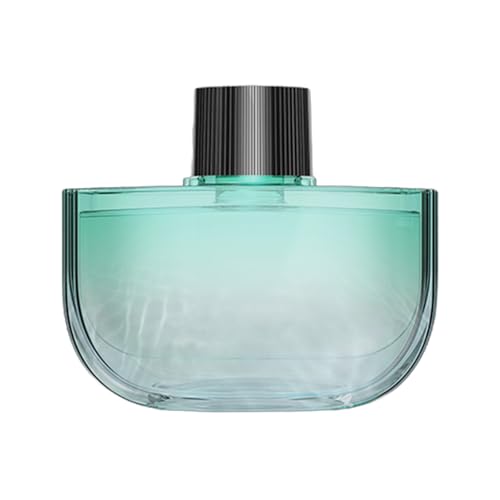 車用クリップ式芳香剤 エアベントマウントディフューザー 香水 香りディフューザーディスペンサー