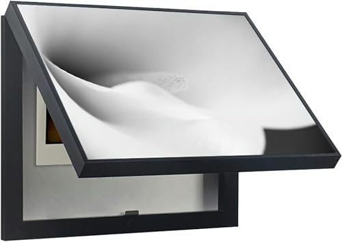 Boîte électrique apparente cachée par une décoration murale créative