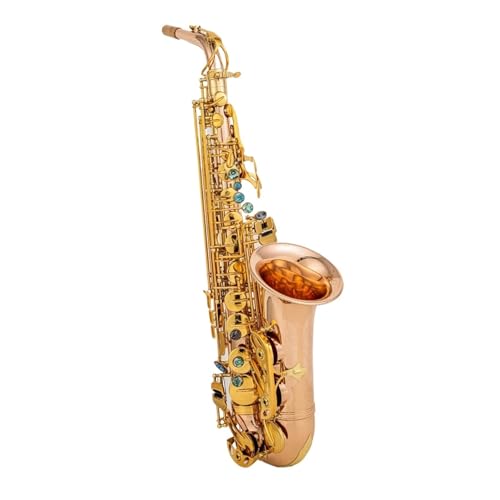 vtFbVi؊ǃTbNX AgTbNX uY}EXs[X [hlbNy(1)