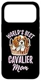 World's Best Cavalier Apparel & Accessories